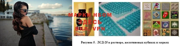 амф Дмитриев