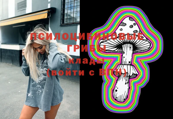 амф Дмитриев