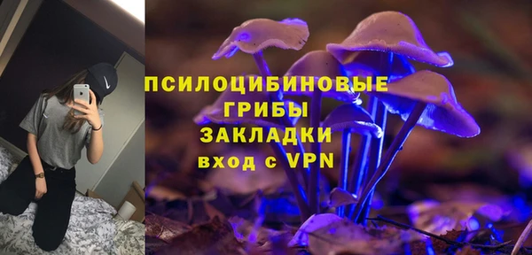 гидра Дмитровск
