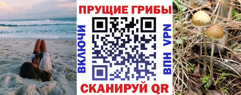 Псилоцибиновые грибы прущие грибы ссылка на мегу рабочий сайт мориарти состав Сертолово